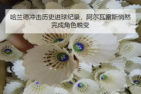 ha-lan-de-chong-ji-li-shi-jin-qiu-ji-lu-a-er-wa-lei-si-qiao-ran-wan-cheng-jue-se-tui-bian-3-911.jpg